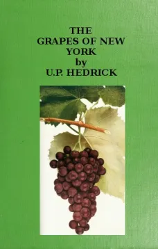 The Grapes of New York