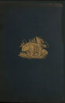 The Romance of the Woods