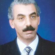 محمود الشلبي