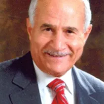 د. محمد عبد العزيز ربيع