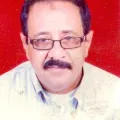 اسامة محمد المرضي سليمان