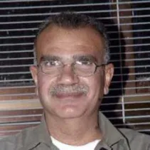 سليم النجار
