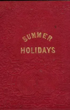 The Summer Holidays: A Story for Children