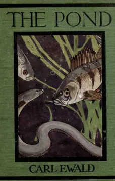 The Pond