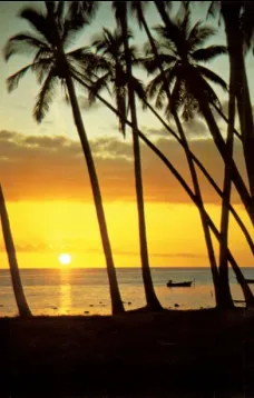Oahu Traveler's guide