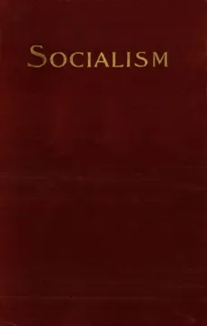 Socialism and the Social Movement in the 19th Century