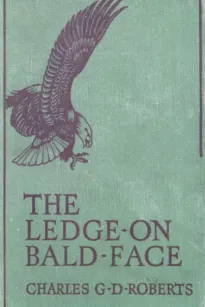 The Ledge on Bald Face