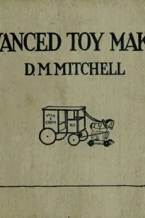 Advanced Toy Making for Schools