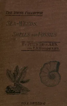 Sea-Weeds, Shells and Fossils