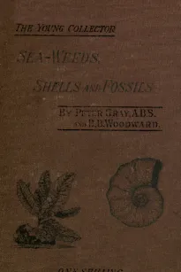 Sea-Weeds, Shells and Fossils