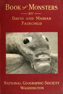 Book of Monsters
Portraits and Biographies of a Few of the Inhabitants of Woodland and Meadow