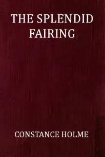 The Splendid Fairing