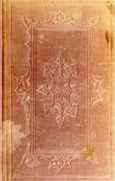 The Bunsby papers
Irish Echoes