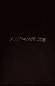 Ten Thousand Wonderful Things