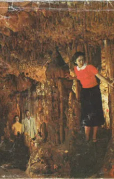 Florida Caverns State Park
Marianna, Florida