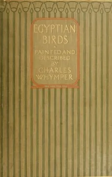 Egyptian Birds
For the most part seen in the Nile Valley