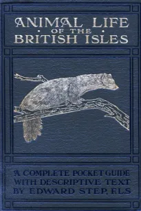 Animal Life of the British Isles
A Pocket Guide to the Mammals, Reptiles and Batrachians
of Wayside and Woodland